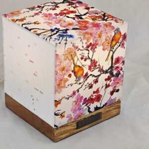 Le cube Villard Après la Pluie, lanterne électrique par l'Atelier Villard
